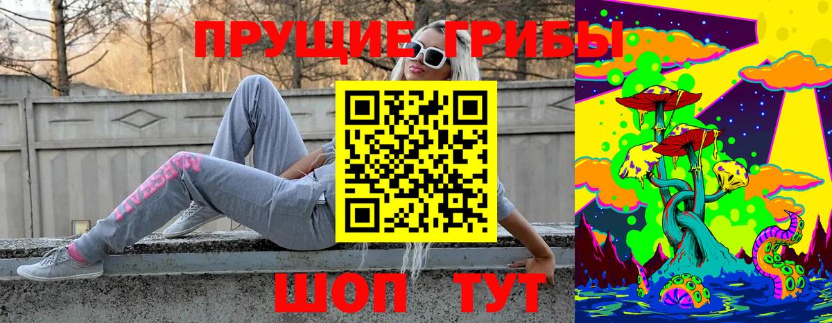 Псилоцибиновые грибы GOLDEN TEACHER Кубинка