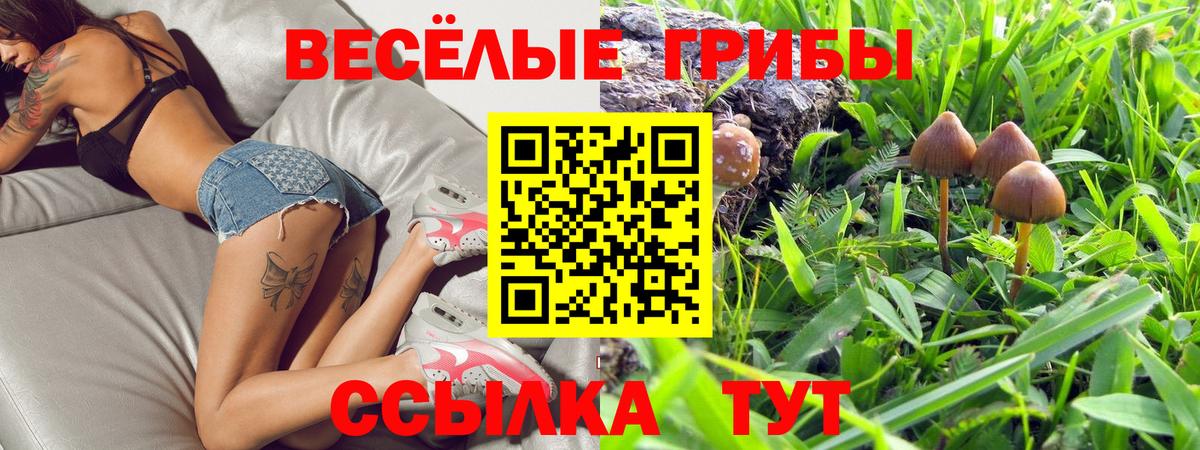 продажа наркотиков  Псилоцибиновые грибы MAGIC MUSHROOMS  Вход с VPN  Кубинка  Псилоцибиновые грибы GOLDEN TEACHER 
